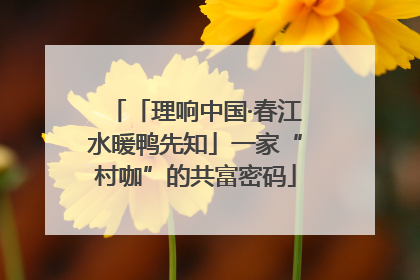 「理响中国·春江水暖鸭先知」一家“村咖”的共富密码