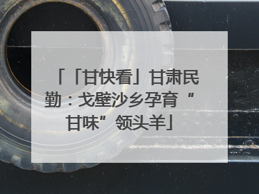 「甘快看」甘肃民勤：戈壁沙乡孕育“甘味”领头羊