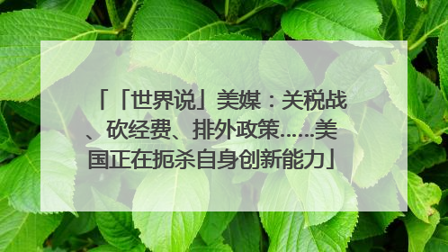 「世界说」美媒：关税战、砍经费、排外政策……美国正在扼杀自身创新能力