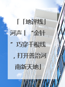 「地评线」河声丨“金针”巧穿千根线，打开善治河南新天地