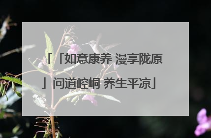 「如意康养 漫享陇原」问道崆峒 养生平凉