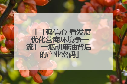 「强信心 看发展 优化营商环境争一流」一瓶胡麻油背后的产业密码