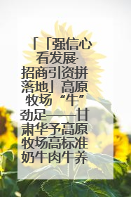 「强信心 看发展·招商引资拼落地」高原牧场“牛”劲足——甘肃华予高原牧场高标准奶牛肉牛养殖项目一线见闻