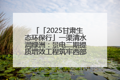 「2025甘肃生态环保行」一渠清水润绿洲：景电二期提质增效工程筑牢西部生态安全屏障