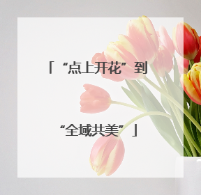 “点上开花”到“全域共美”