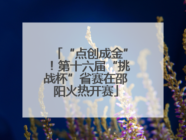 “点创成金”！第十六届“挑战杯”省赛在邵阳火热开赛