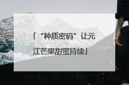 “种质密码”让元江芒果甜蜜持续