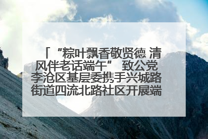 “粽叶飘香敬贤德 清风伴老话端午” 致公党李沧区基层委携手兴城路街道四流北路社区开展端午节主题活动