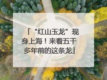 “红山玉龙”现身上海！来看五千多年前的这条龙