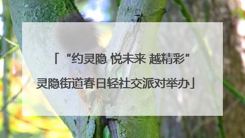 “约灵隐 悦未来 越精彩”灵隐街道春日轻社交派对举办