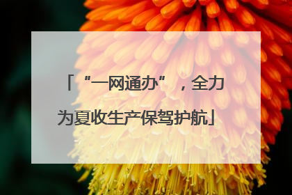 “一网通办”，全力为夏收生产保驾护航