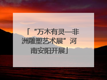 “万木有灵—非洲雕塑艺术展”河南安阳开展
