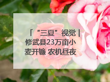 “三夏”视觉｜修武县23万亩小麦开镰 农机昼夜抢收抢种