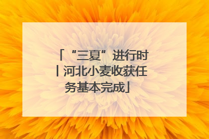 “三夏”进行时丨河北小麦收获任务基本完成