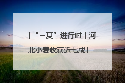 “三夏”进行时丨河北小麦收获近七成