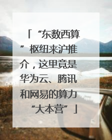 “东数西算”枢纽来沪推介，这里竟是华为云、腾讯和网易的算力“大本营”