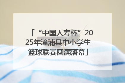 “中国人寿杯”2025年漳浦县中小学生篮球联赛圆满落幕