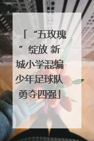 “五玫瑰”绽放 新城小学混编少年足球队勇夺四强