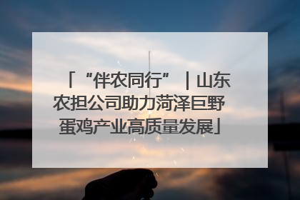 “伴农同行”｜山东农担公司助力菏泽巨野蛋鸡产业高质量发展