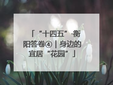 “十四五”·衡阳答卷④｜身边的宜居“花园”