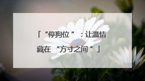 “停狗位 ”：让温情藏在 “方寸之间 ”