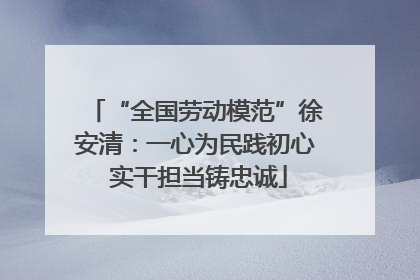 “全国劳动模范”徐安清：一心为民践初心 实干担当铸忠诚