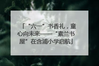 “六一”书香礼，童心向未来——“素兰书屋”在含浦小学启航