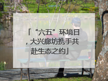 “六五”环境日，大兴廊坊携手共赴生态之约