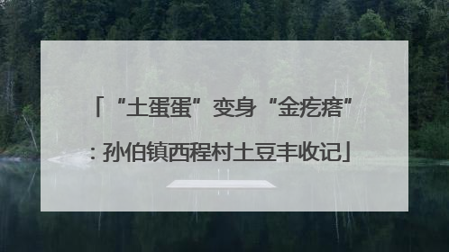 “土蛋蛋”变身“金疙瘩”：孙伯镇西程村土豆丰收记