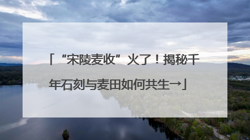 “宋陵麦收”火了！揭秘千年石刻与麦田如何共生→