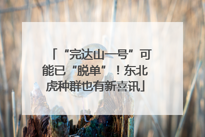 “完达山一号”可能已“脱单”！东北虎种群也有新喜讯