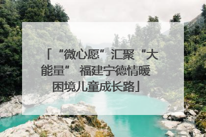 “微心愿”汇聚“大能量” 福建宁德情暖困境儿童成长路