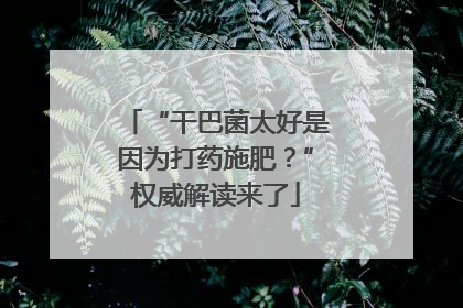 “干巴菌太好是因为打药施肥？”权威解读来了