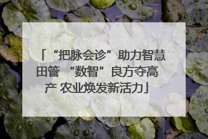 “把脉会诊”助力智慧田管 “数智”良方夺高产 农业焕发新活力