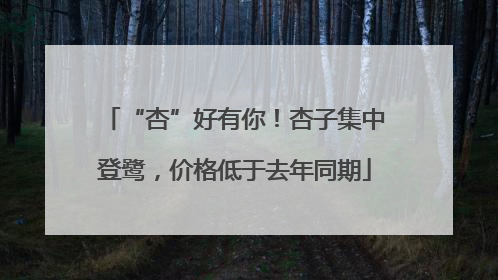 “杏”好有你！杏子集中登鹭，价格低于去年同期