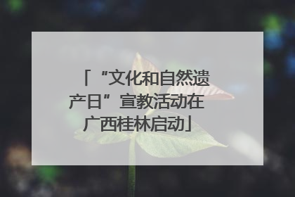 “文化和自然遗产日”宣教活动在广西桂林启动