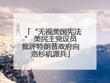 “无视美国宪法” 美民主党议员批评特朗普政府向洛杉矶派兵