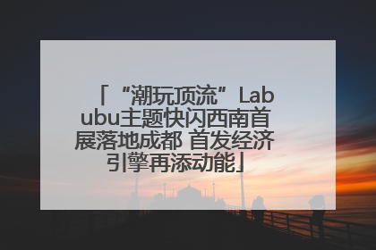 “潮玩顶流”Labubu主题快闪西南首展落地成都 首发经济引擎再添动能