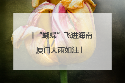 “蝴蝶”飞进海南 厦门大雨如注