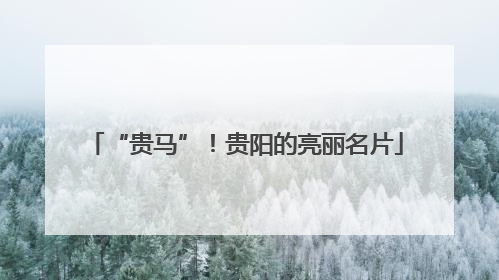 “贵马”！贵阳的亮丽名片
