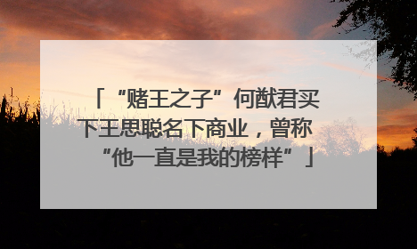 “赌王之子”何猷君买下王思聪名下商业，曾称“他一直是我的榜样”