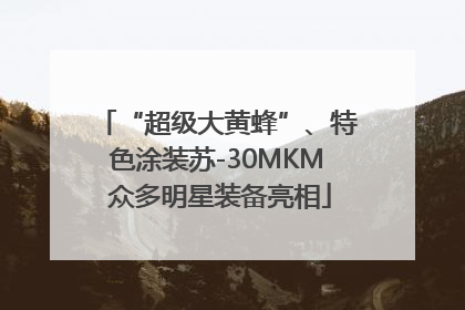 “超级大黄蜂”、特色涂装苏-30MKM 众多明星装备亮相
