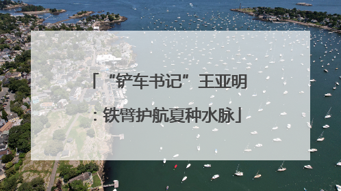 “铲车书记”王亚明：铁臂护航夏种水脉