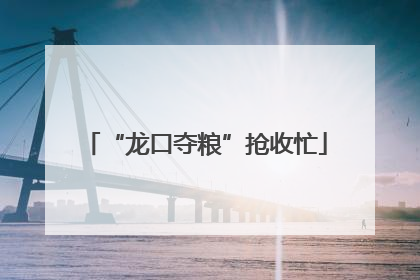 “龙口夺粮”抢收忙