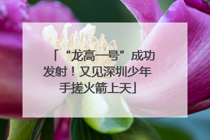 “龙高一号”成功发射！又见深圳少年手搓火箭上天