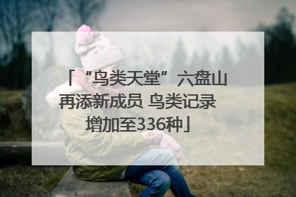 “鸟类天堂”六盘山再添新成员 鸟类记录增加至336种