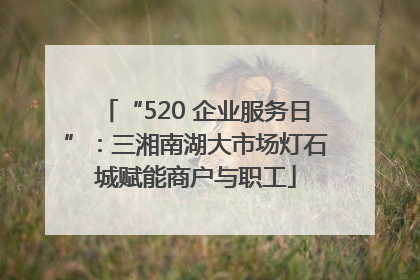 “520 企业服务日”：三湘南湖大市场灯石城赋能商户与职工