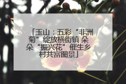 玉山：五彩“非洲菊”绽放横街镇 朵朵“振兴花”催生乡村共富图景