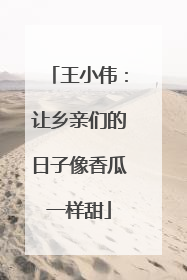 王小伟：让乡亲们的日子像香瓜一样甜