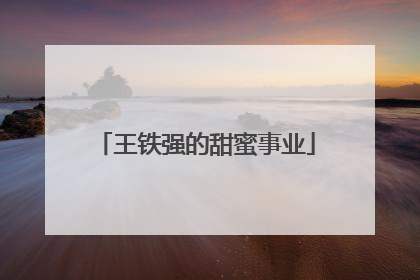 王铁强的甜蜜事业